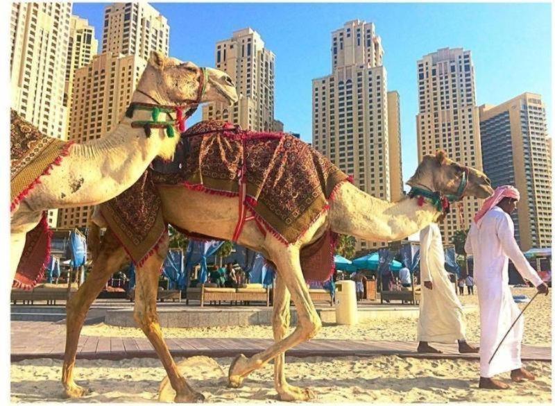 Luxury Apartments In Dubai Marina Eksteriør billede